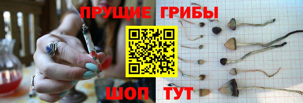 Псилоцибиновые грибы ЛСД  Вход с VPN  Мончегорск 